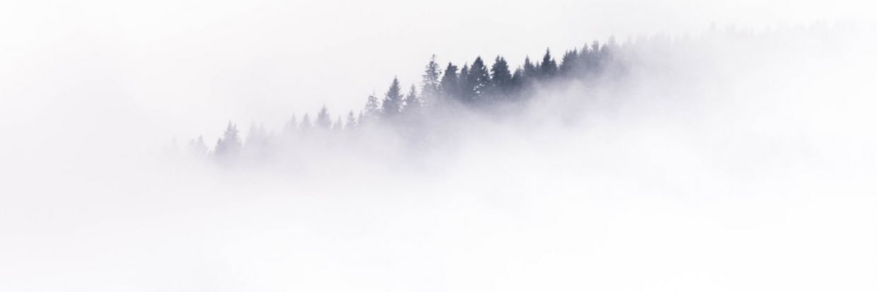 MonarchSheeva's profile banner image