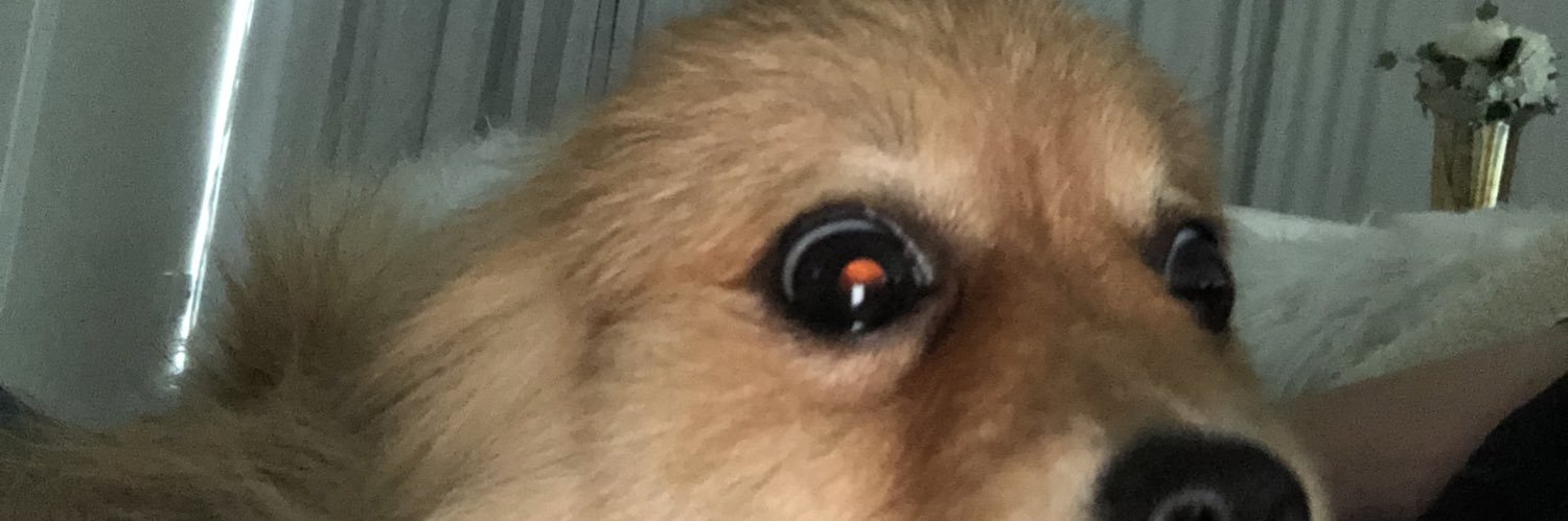 mathtiso123's profile banner image