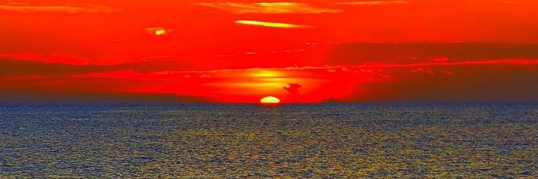 PomodoroWhite's profile banner image