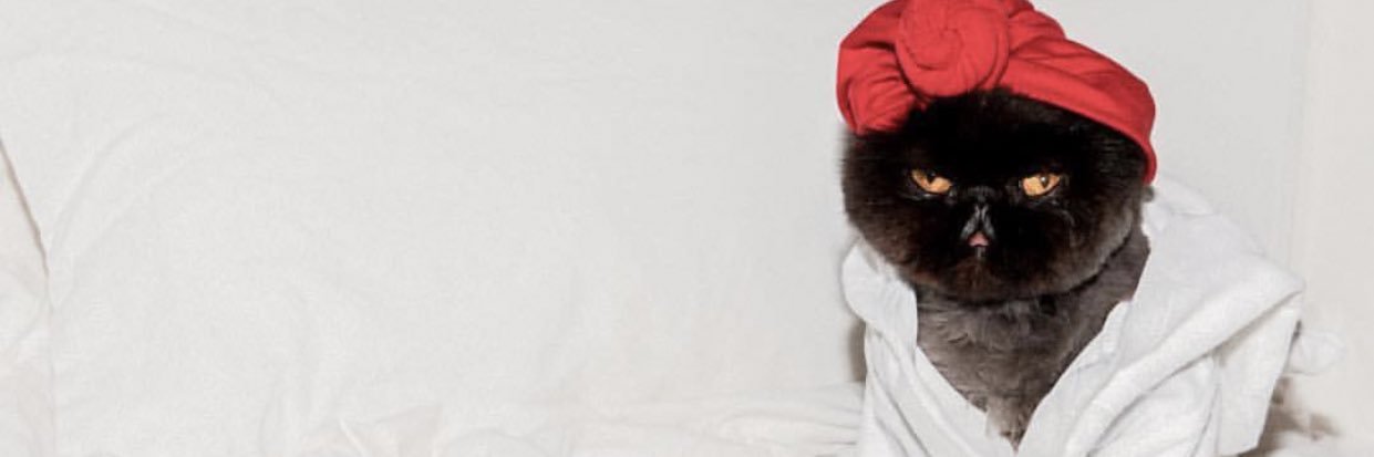 charlottpetsch's profile banner image