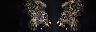 305_bclark's profile banner image