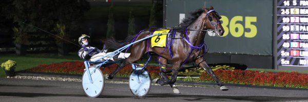 HPIbet Profile Banner