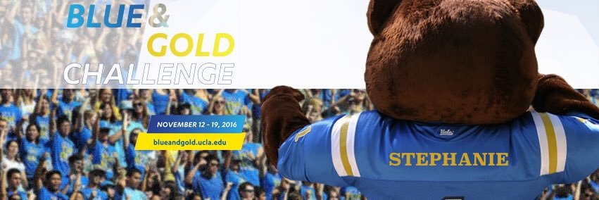 Stephanie Rubin banner