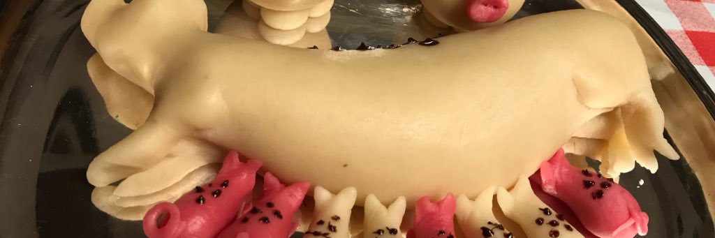 januari46's profile banner image