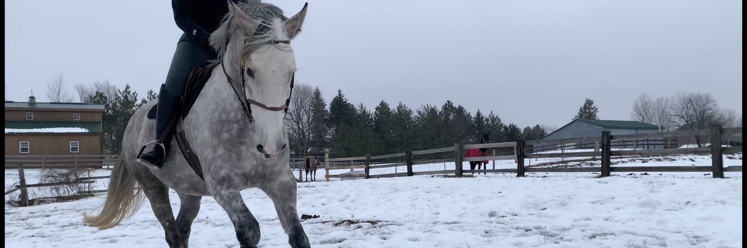 molly_ili's profile banner image