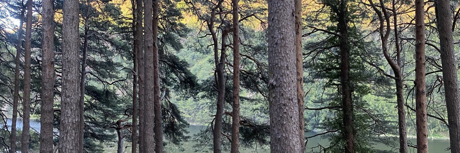 ejsilke's profile banner image