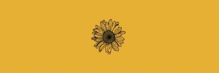 ash_borowiak's profile banner image