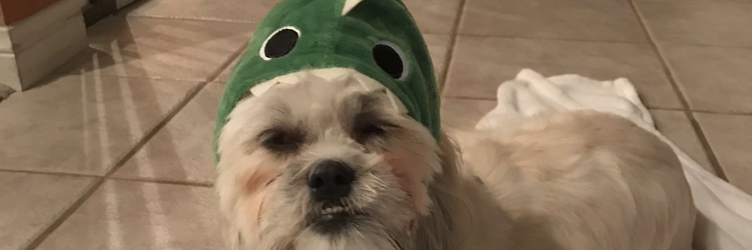 brookeoto's profile banner image