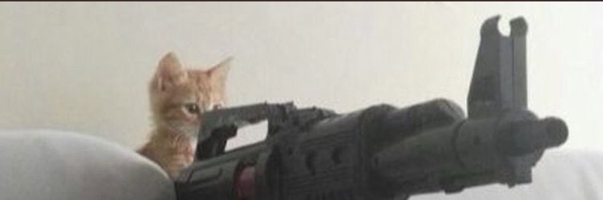 serenityboxx's profile banner image