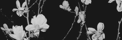 YESiSiSi_'s profile banner image