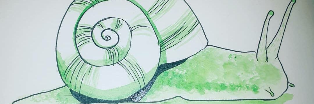 GabbiFrater's profile banner image