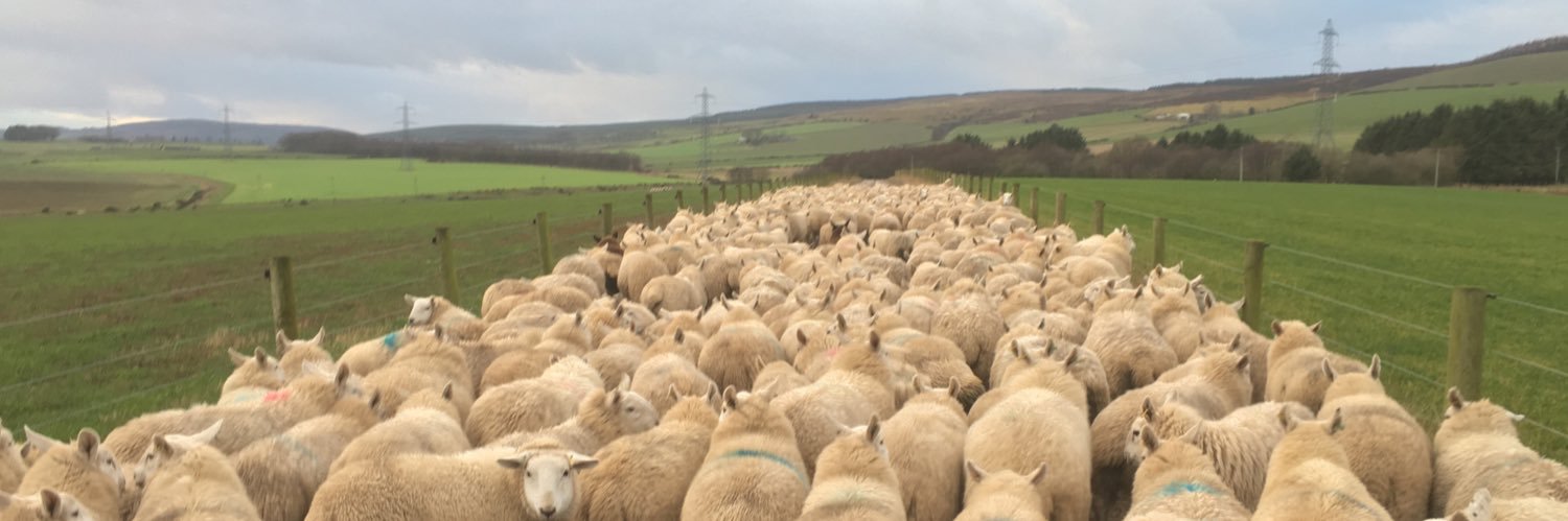 Clive Phillips banner