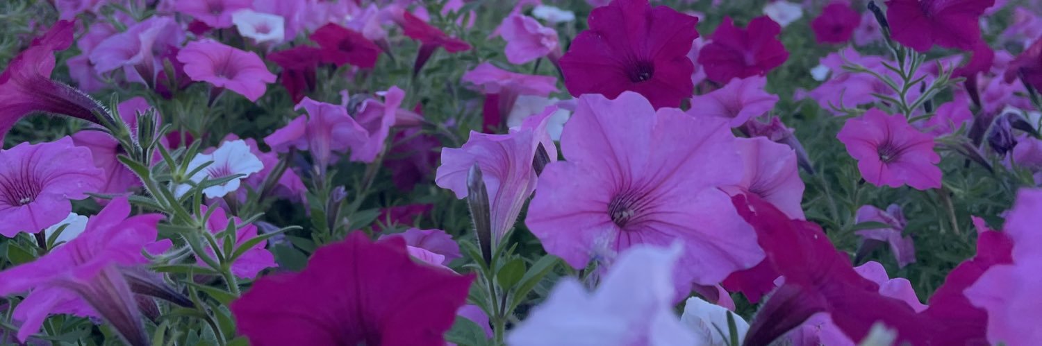 Forever Open Source banner