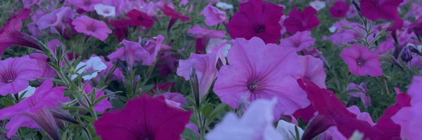 fscgo Profile Banner