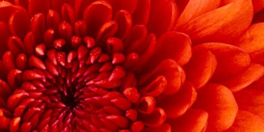 ShanaLongley's profile banner image