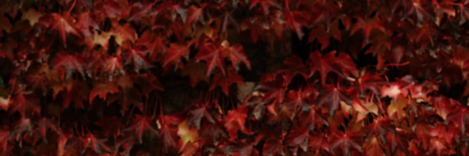 CrisLlera94's profile banner image