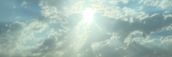 monamarwan Profile Banner