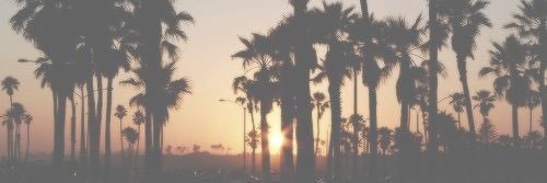 bbybonee's profile banner image