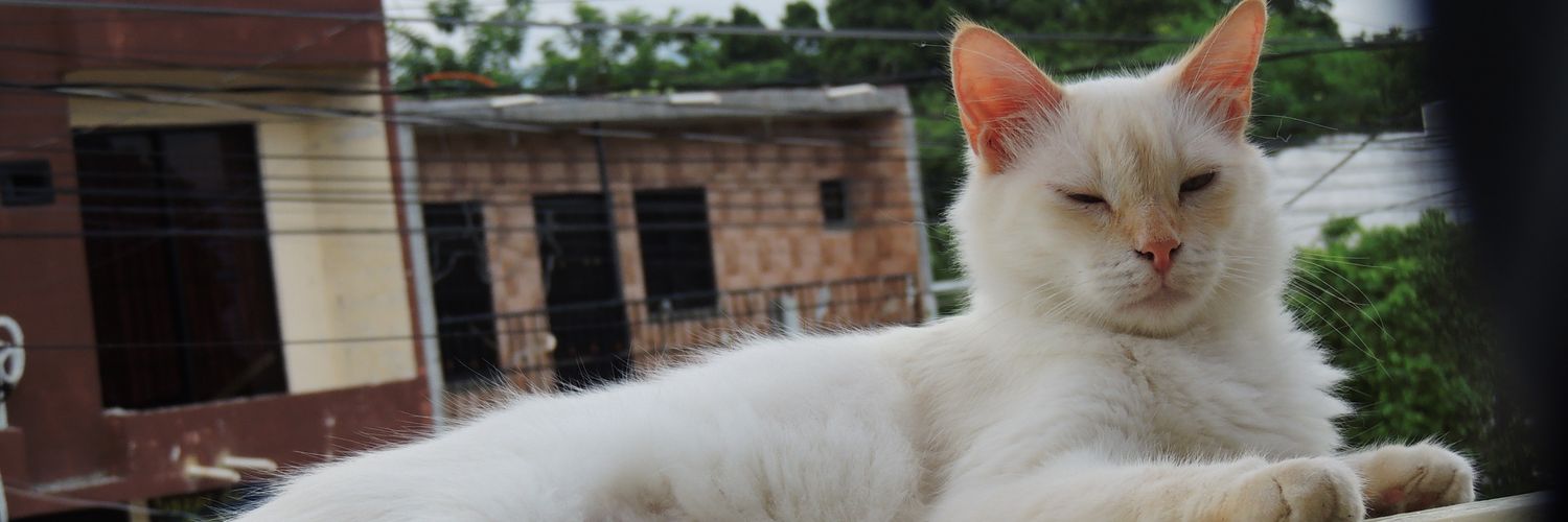 luque_mafer's profile banner image