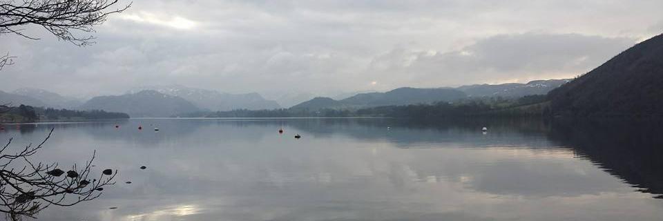 stainesreflex's profile banner image