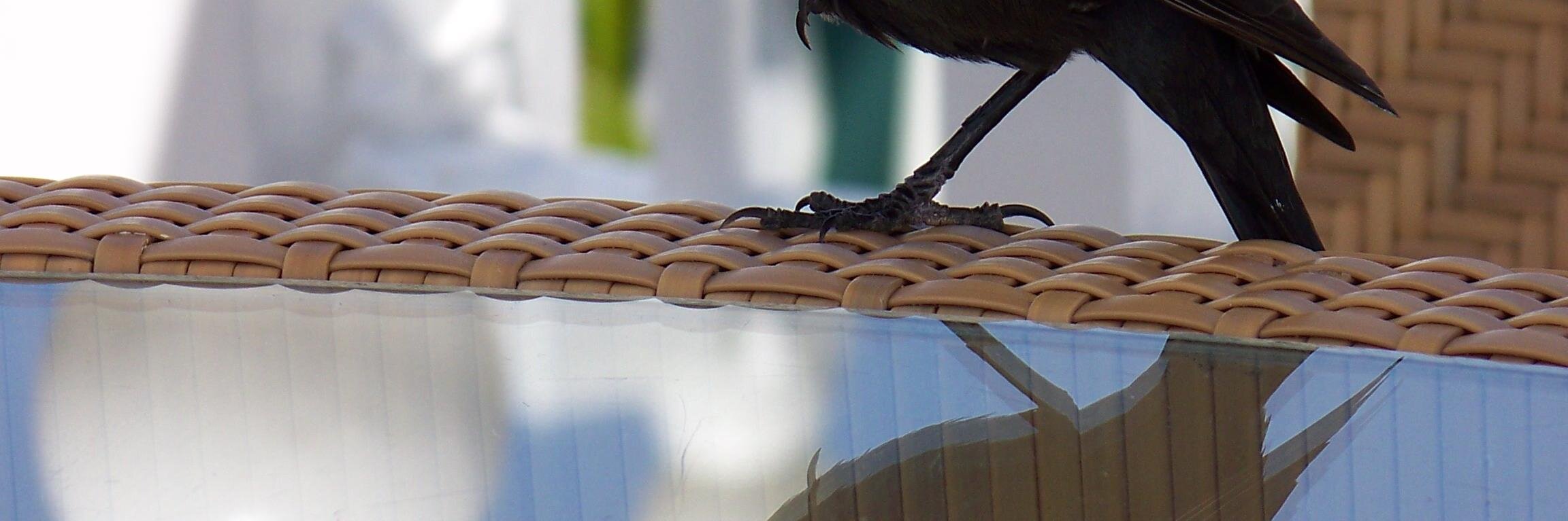 SwedenG's profile banner image