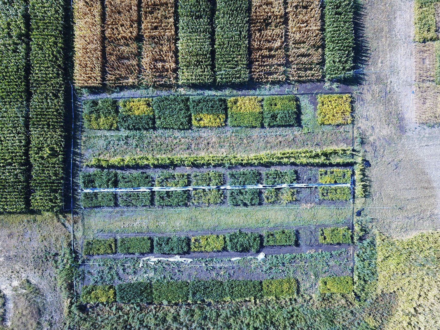 Maria Elena Otegui🎗️ banner