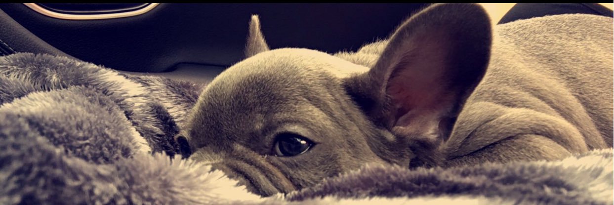 Lewistemple8's profile banner image