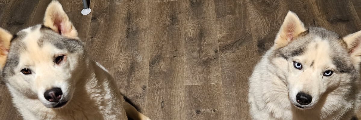 mdleonardo14's profile banner image