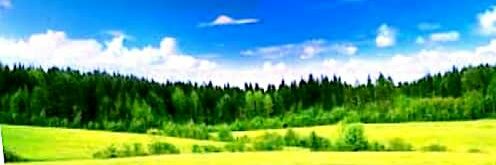 shakeebrahman92's profile banner image