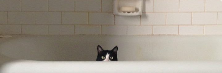yiweeezzy's profile banner image
