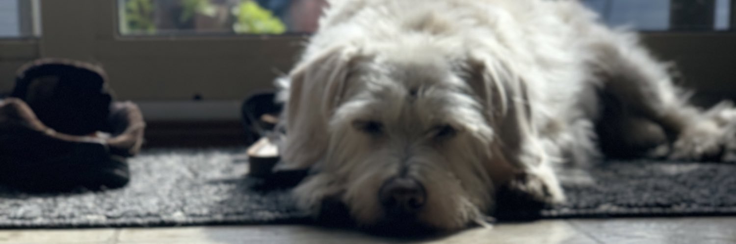brookesheredy's profile banner image