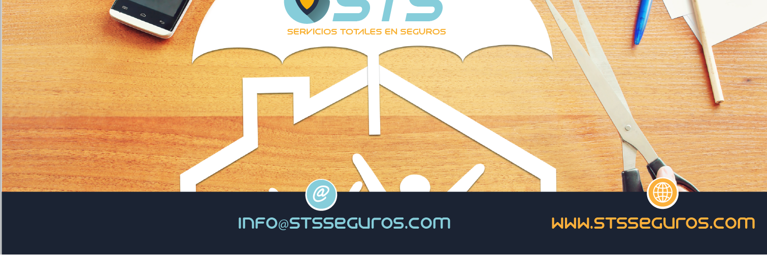 STSSEGUROS's profile banner image