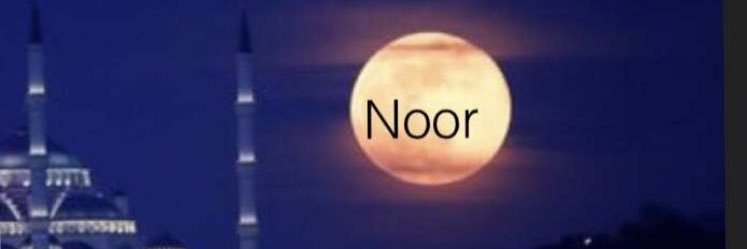 AysNasser's profile banner image