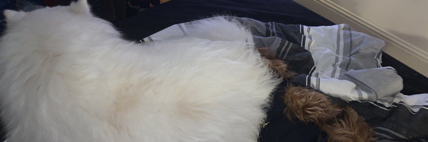 Keelelele's profile banner image