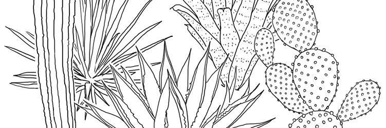 agnesbic's profile banner image
