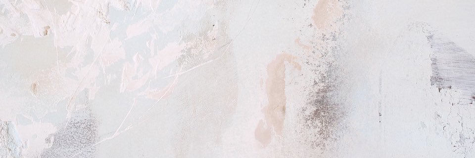 Evane Williams banner