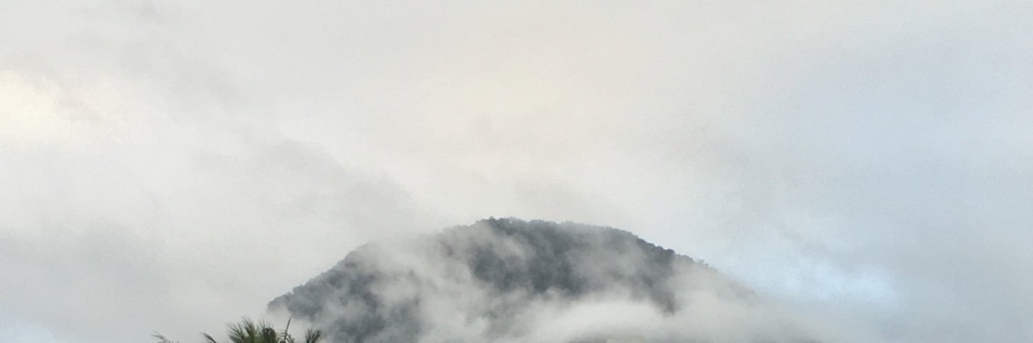 mimitheear's profile banner image