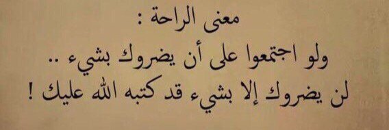020_noura's profile banner image