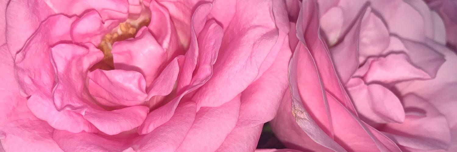 _Baiiley_'s profile banner image
