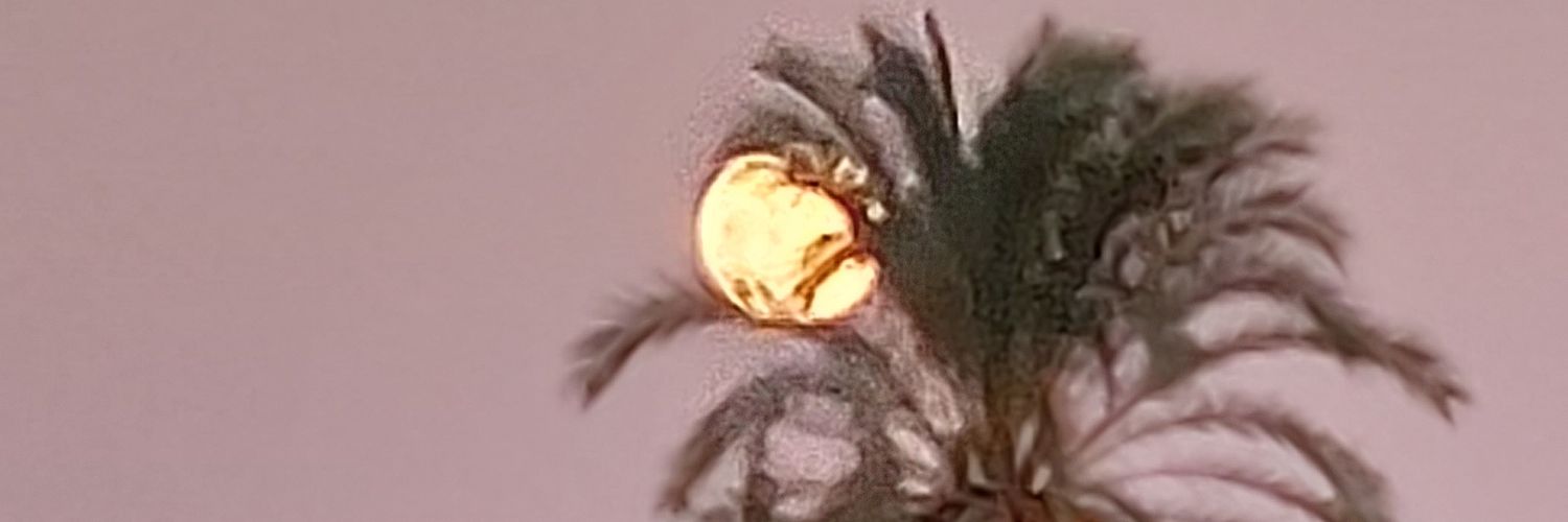 archena's profile banner image