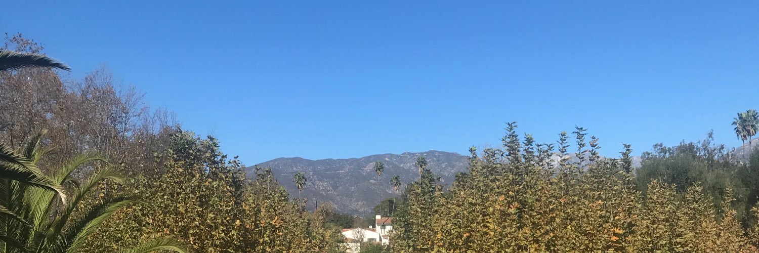 LBOOGIE313's profile banner image