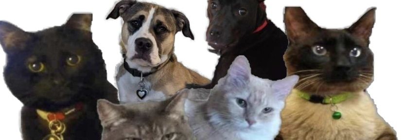 VickiRawlings2's profile banner image