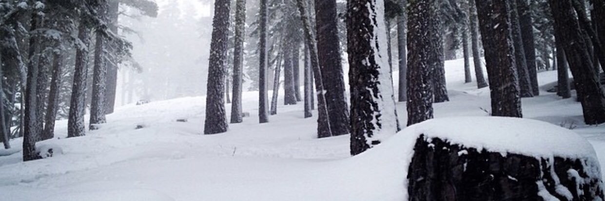 CalvinOwen's profile banner image