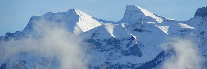 Joachim Dressler banner