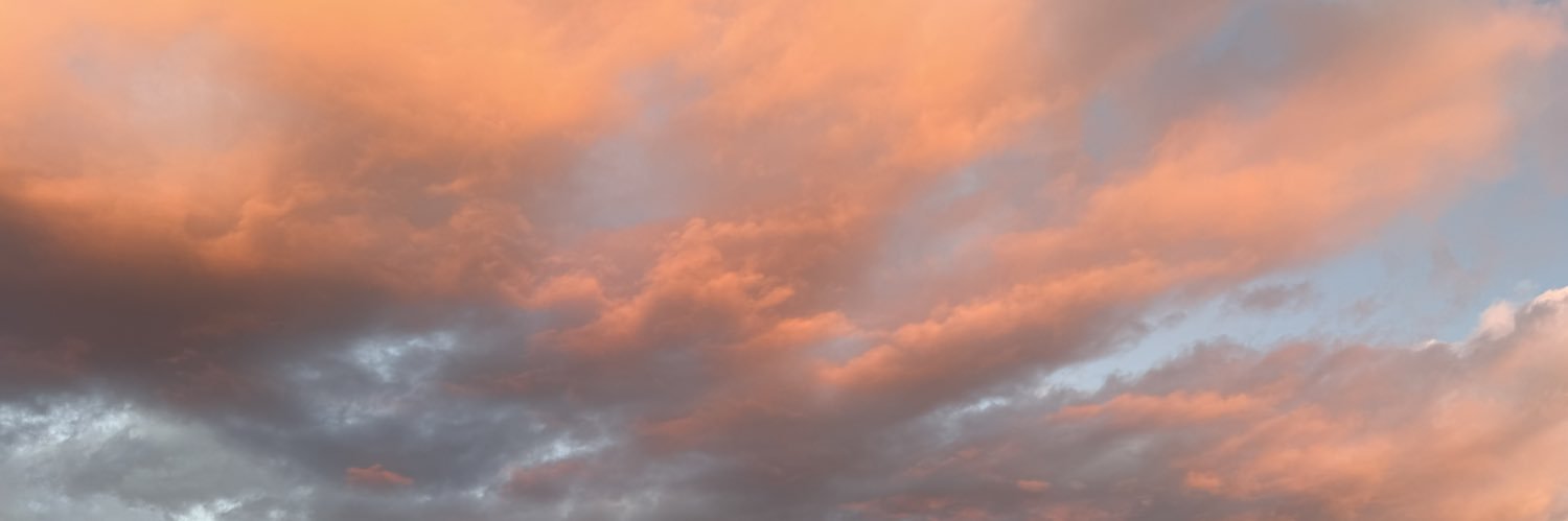biifff's profile banner image