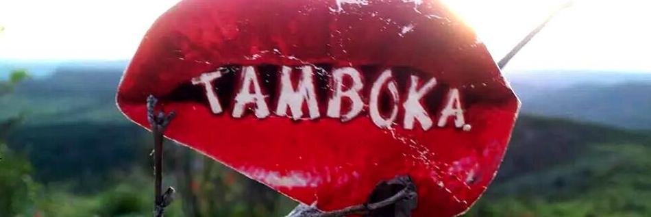 1TAMBOKA's profile banner image