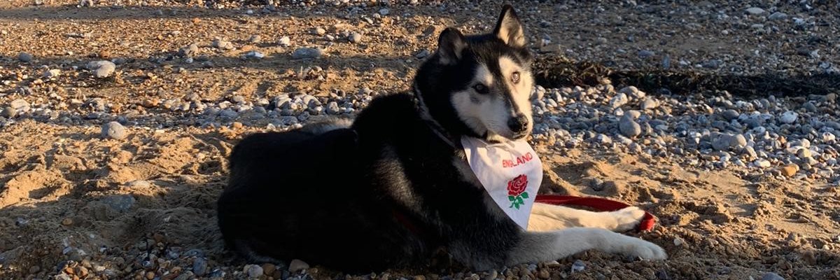 JTunesi's profile banner image