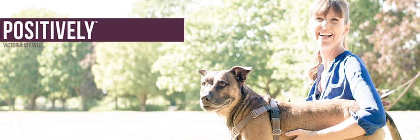 Victoria Stilwell banner