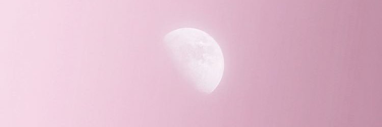 rosyprosey's profile banner image