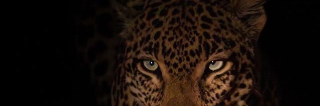 iammcc_'s profile banner image